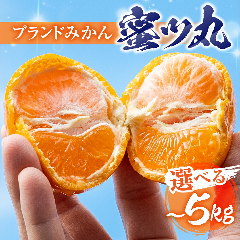 【ふるさと納税】≪先行予約≫こだわり蜜柑 蜜ツ丸【選べる 約1kg ~ 5kg】 みかん ミカン mikan 柑橘 柑橘類 フルーツ 果物 詰め合わせ 贈答 秀品 プレゼント お歳暮 家庭用 わけあり 訳アリ ワケアリ 1kg 2kg 5kg マルカワ園芸 愛知県 豊橋市