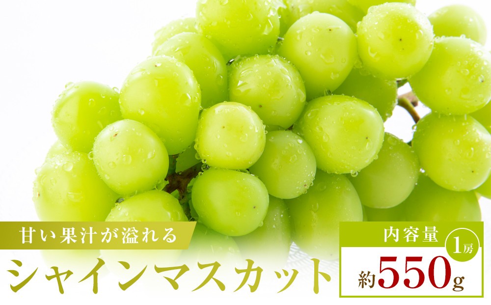 
                  【お試し用】シャインマスカット　約550g
                