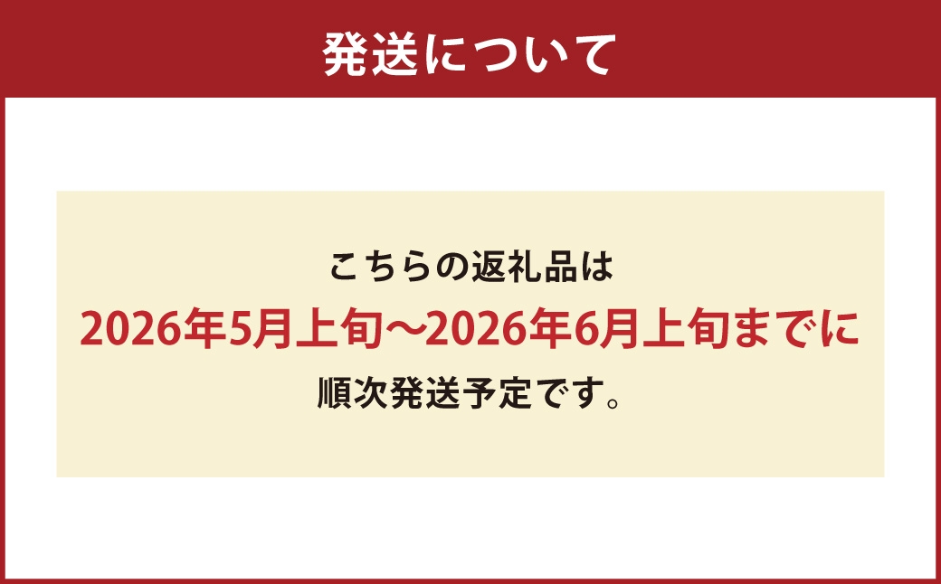 高倉びわ 化粧箱 12玉入り 1箱