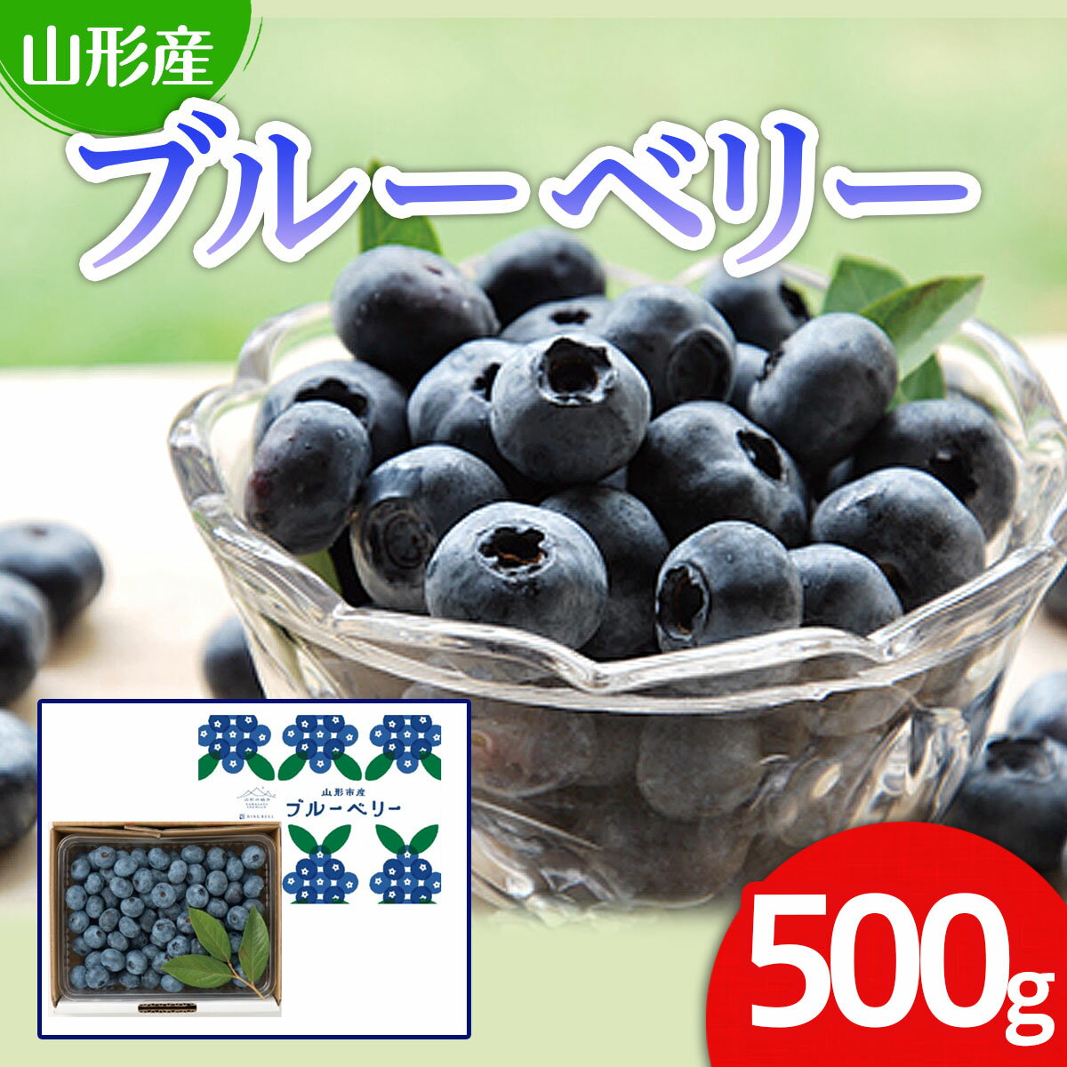 【ふるさと納税】山形市産 ブルーベリー 500g 【令和7年産先行予約】 FU21-606 くだもの 果物 フルーツ 山形 山形県 山形市 2025年産