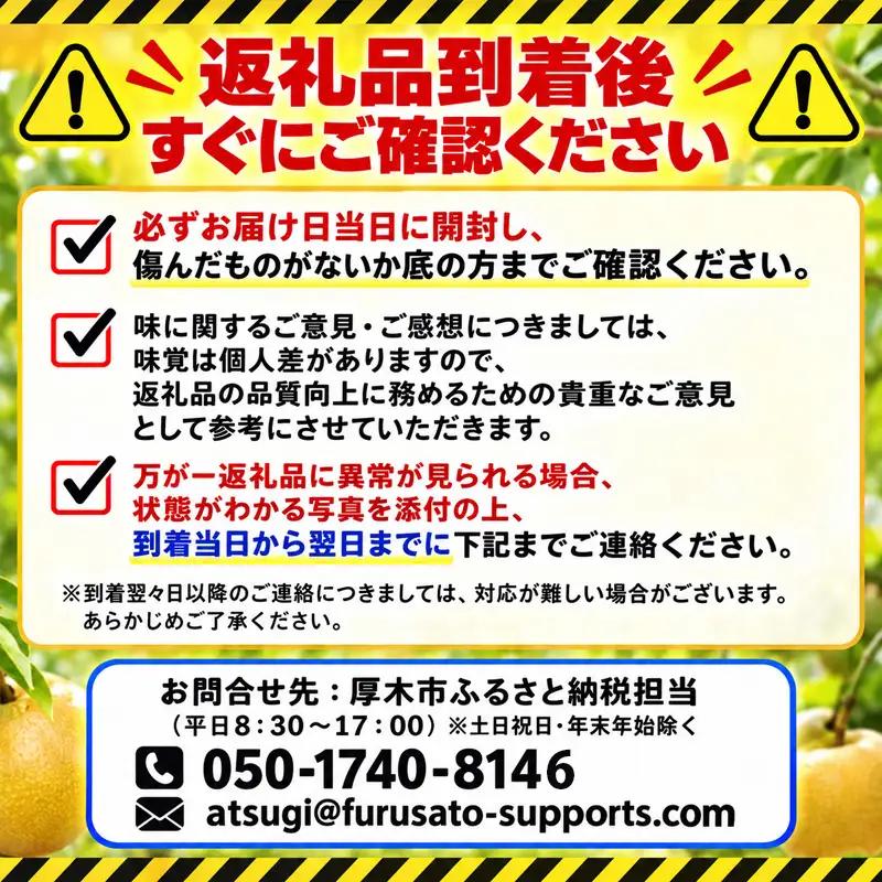 梨 豊水 5kg 2026年産  あつぎの梨