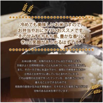 ふるさと納税 北栄町 令和7年産　山崎農園こしひかり精米　10kg |  | 01