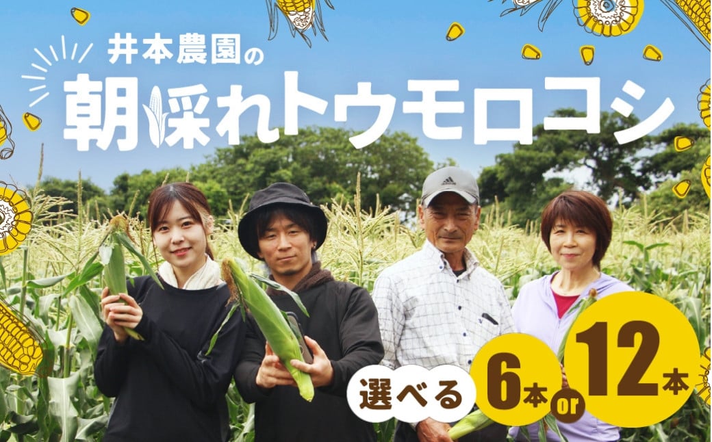 
                  【先行予約】井本農園の朝採れトウモロコシ 12本 とうもろこし デザート 農家直送 送料無料 朝採れ コーン 野菜 キャンプ BBQ バーベキュー おやつ 田原市 渥美半島 愛知県 夏 旬
                
