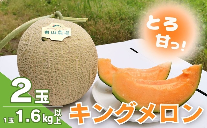 とろける舌触り！北海道栗山町東山農場産キングメロン 2玉