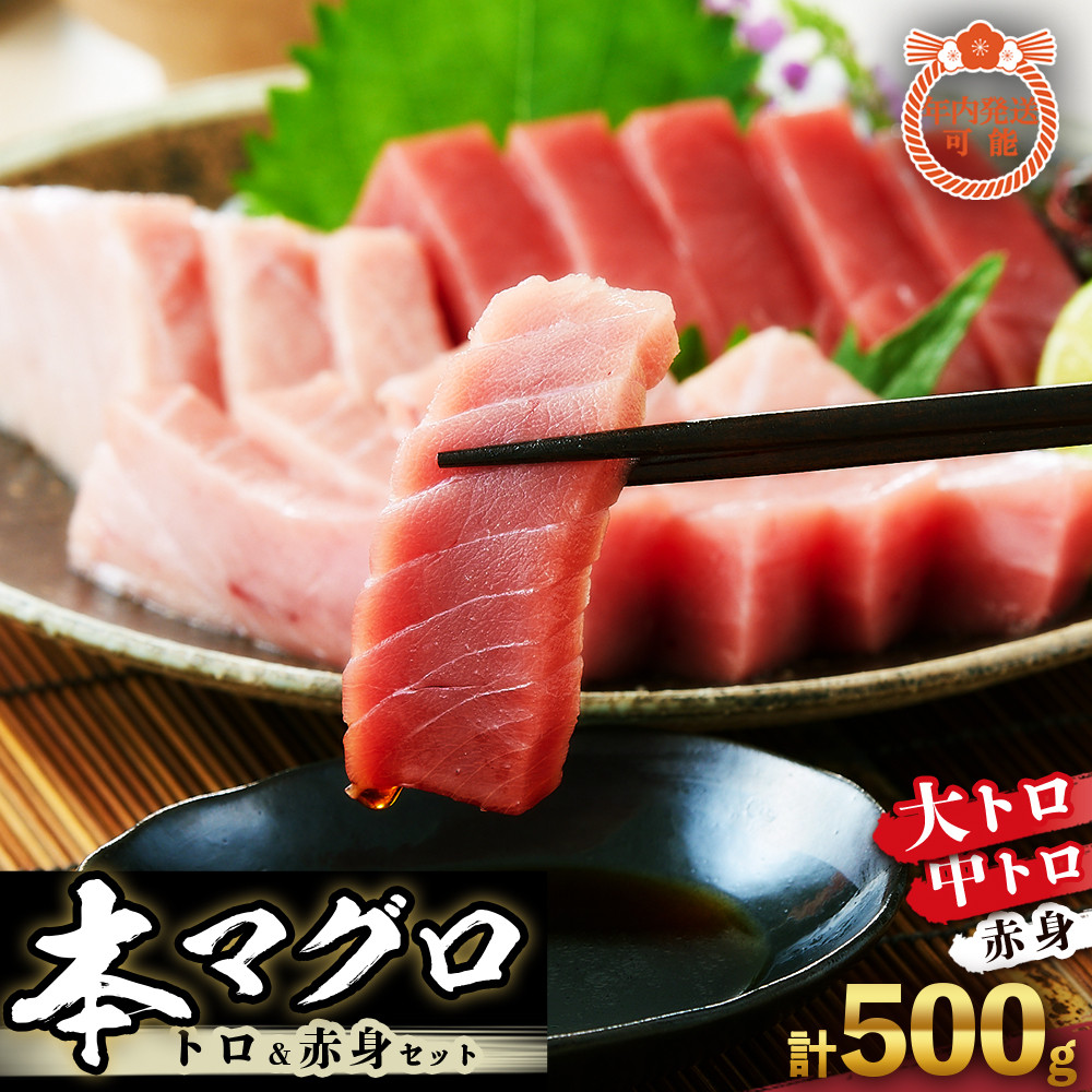 本マグロ トロ+赤身セット 500g | 【年末年始お届け可能】大トロ 中トロ 鮪 刺身 寿司 お正月