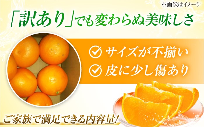 柑橘 蜜柑 みかん ミカン せとか 訳あり 訳アリ 3kg 小玉 愛媛