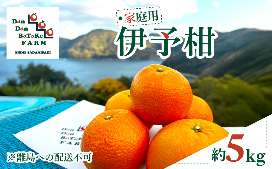 【先行予約】【家庭用】伊予柑 約5kg | 柑橘 みかん 果物 フルーツ 愛媛県産 農家直送　※離島への配送不可　※2026年1月中旬から順次発送予定   IKTAU001