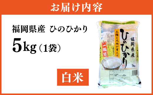【令和7年産】 福岡県 大木町産 ひのひかり 5kg　BC01-1