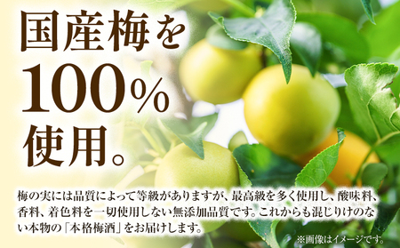 チョーヤ 梅ゼリー 180g × 30個 羽曳野商工振興株式会社《30日以内に出荷予定(土日祝除く)》｜チョーヤチョーヤチョーヤチョーヤチョーヤチョーヤチョーヤチョーヤチョーヤチョーヤチョーヤチョーヤ