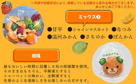 ＜アイスフルーツボックス（ミックス3袋、柑橘5袋） 3回定期便＞ 冷凍みかん 冷凍果実 温州みかん 甘平 ぽんかん せとか いちご ぶどう 果物 くだもの 渡江から一歩を踏み出す会 愛媛県 西予市【冷