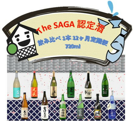 【ふるさと納税】TheSAGA認定酒720ml 12回定期便（DV217）