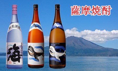 C3-25107／大海酒造 　1800ml　3本セット