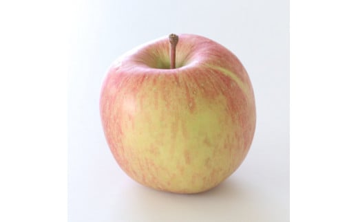 【訳あり品】 長野県産・サンふじ (約5kg)  2026年1月上旬より発送 信州 南信州 高森町 産地直送 果物 くだもの 旬のりんご ご家庭用 山下屋荘介