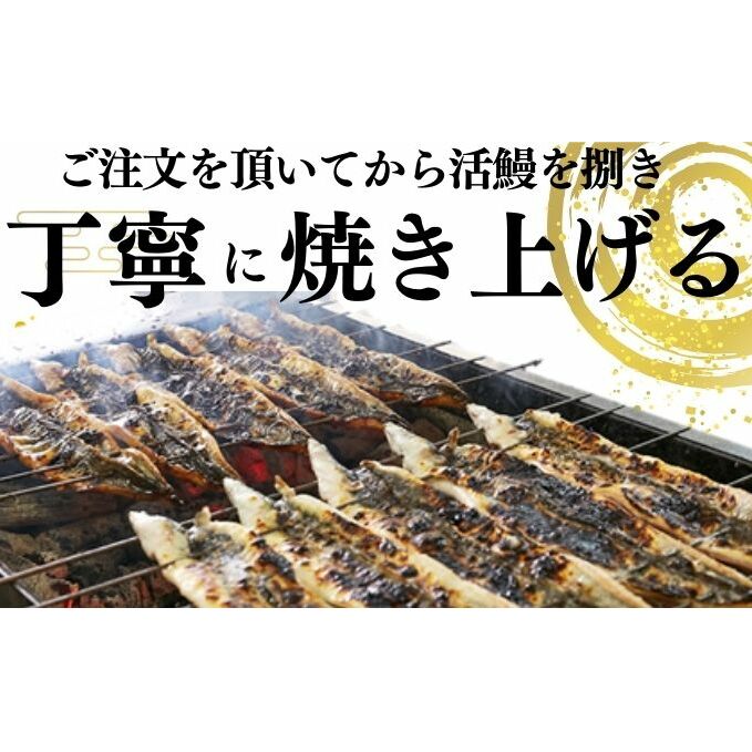 新仔うなぎ 白焼き 3尾 150g以上 かね梅 鰻 ウナギ 国産 三河一色産 手焼き 炭火焼き 炭火 丑の日 簡単調理 小分け 真空パック うな重 うな丼 ひつまぶし お取り寄せ 人気 グルメ ギフト