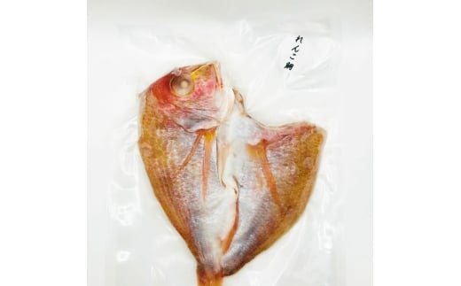 おまかせ干物5袋（れんこ鯛×1袋 他4袋おまかせ） / 干物 魚 鯛 れんこ鯛 鮎 アユ シイラ サメ カマス 鯵 アジ 鯖 サバ やけど ハダカイワシ おまかせ セット 冷凍 【株式会社サンマリン】 [ATHA006]