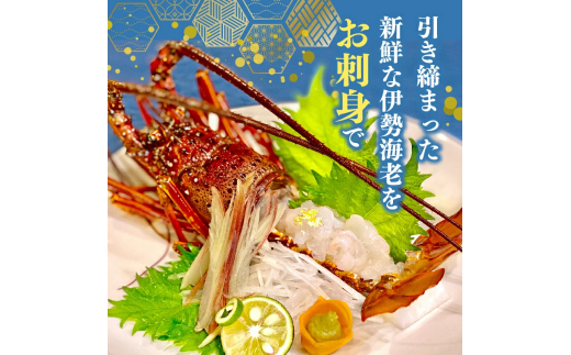 【訳あり】 職人吉岡 の 冷凍 伊勢海老 約 2.8kg 以上 【 サイズ混合 えび エビ いせえび 鮮魚 イセエビ 海鮮 魚介 刺身 焼き物 汁物 ギフト 贈答 贈り物 祝い 歳暮 中元 天然 海の