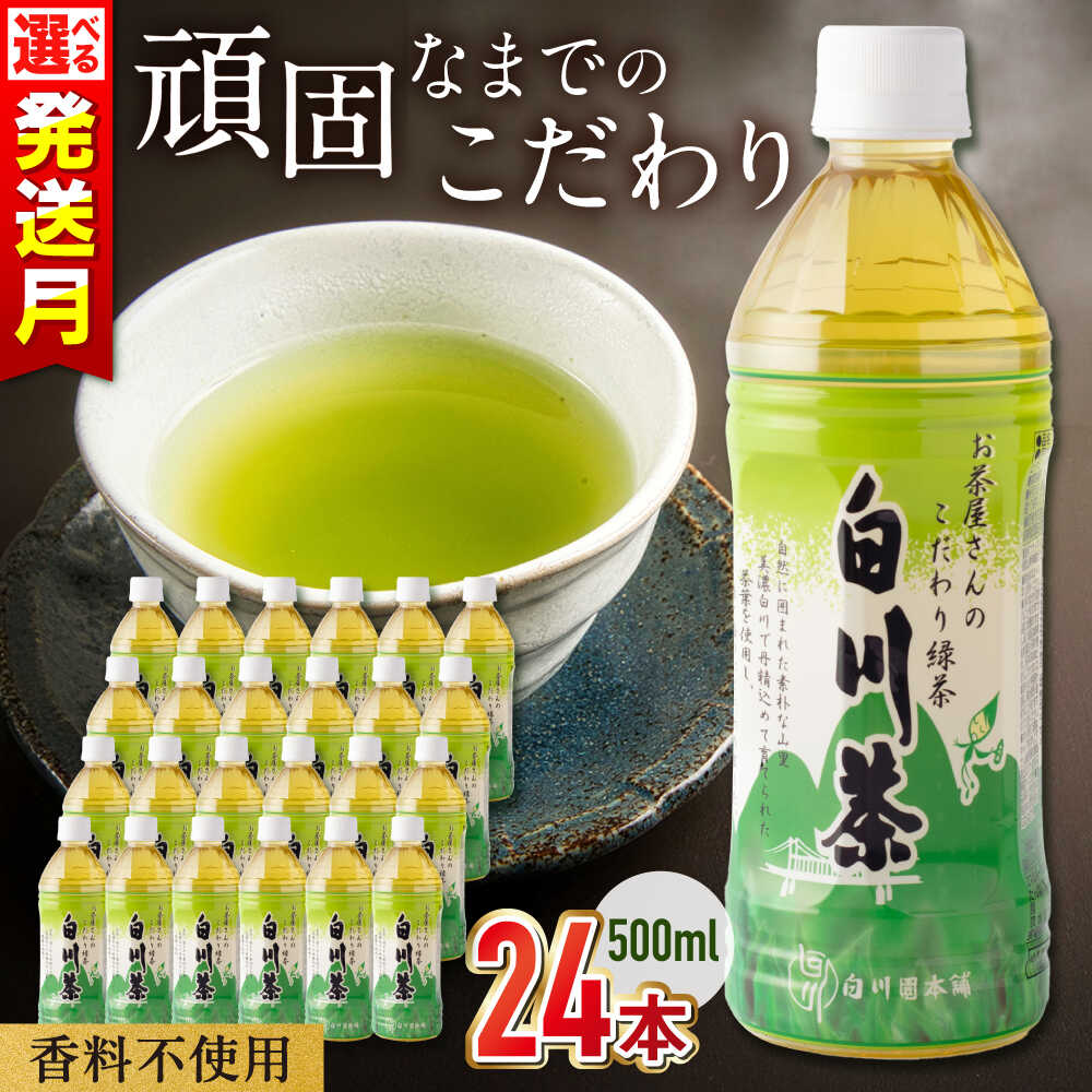 【ふるさと納税】【選べる発送月】 高級銘茶 白川茶 お茶 ペットボトル 500ml 24本 / 高級銘柄 緑茶 日本茶 煎茶 国産 飲料 飲み物 飲料水 ペットボトル飲料 箱買い まとめ買い 備蓄 保存 防災 熱中症対策 常温保存 送料無料 キャンプ 岐阜県 白川町 / 白川園本舗[AWAT001]