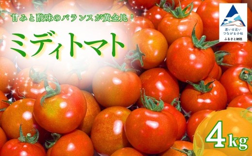 ミディトマト 4kg トマト とまと 中玉トマト 小松とまと 野菜 甘い 完熟 産地直送 直送 新鮮 4キロ 冷蔵  | 石川県 小松市 JAあぐり