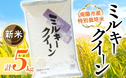 【令和7年産 新米 先行予約】 【金賞受賞農家】 特別栽培米 ミルキークイーン 5kg 《令和7年10月上旬～発送》 『あおきライスファーム』 山形南陽産 米 白米 精米 ご飯 農家直送 山形県 南陽市 [1549-R7b]