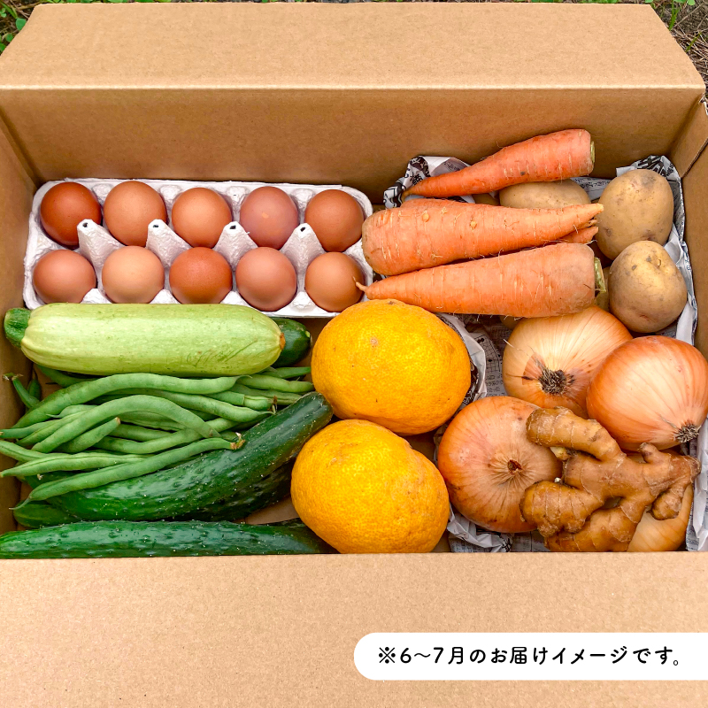7月発送　農薬・化学肥料を持たない農家の野菜（7～10種類）と 平飼有精卵のセット mi0036-0017-07