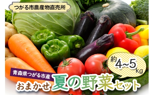 つがる市産 おまかせ夏の野菜セット 約4kgから5kg｜旬の野菜 夏 野菜セット おまかせ 詰め合わせ 産直 産地直送 新鮮 冷蔵 ギフト サラダ 青森 つがる 令和8年産 2026年産 [1006]