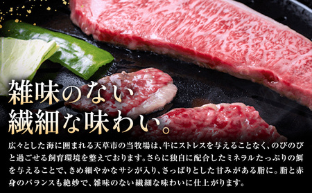 黒毛和牛 焼肉用 切り落とし 500g 田中畜産 黒毛和牛
