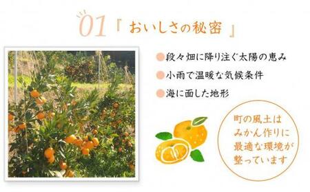 極早生みかん 約6.5kg 大小混合 《ご家庭用》ちょっと訳あり 和歌山県より農園直送！まごころ産直みかん【北海道・沖縄県・一部離島 配送不可】混合サイズ ミカン 蜜柑 温州みかん わけあり 訳アリ【