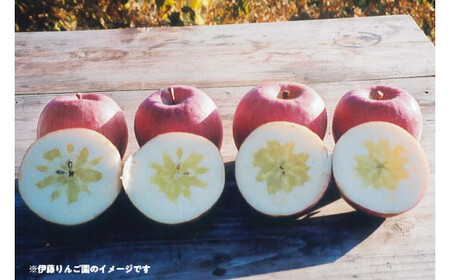 50-C　伊藤りんご園　もりのかがやき　5kg｜りんご リンゴ 林檎 果物 くだもの フルーツ 福島県 会津坂下町 12～14玉 蜜 ※2025年10月上旬頃より順次発送予定