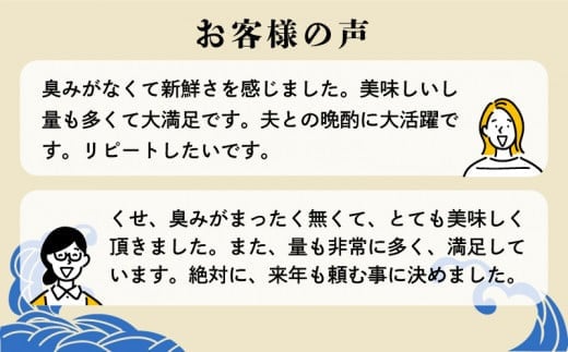 お試し用 訳あり かつおのたたき 500g 6000円 サイズ 不揃い 規格外 試供品 お試し品 少量 カツオたたき 鰹たたき 少額 食べ物 旬 お手軽 魚海鮮 魚介 1万円 以下 父の日 傷 小分け