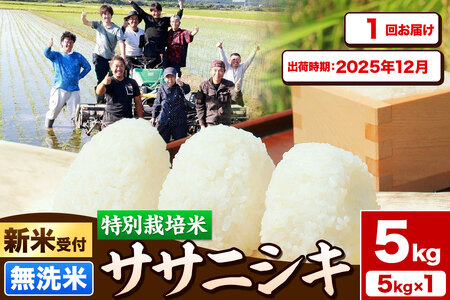 《新米受付》令和7年産【無洗米】特別栽培米 ササニシキ 5kg 秋田県産【2025年12月出荷】