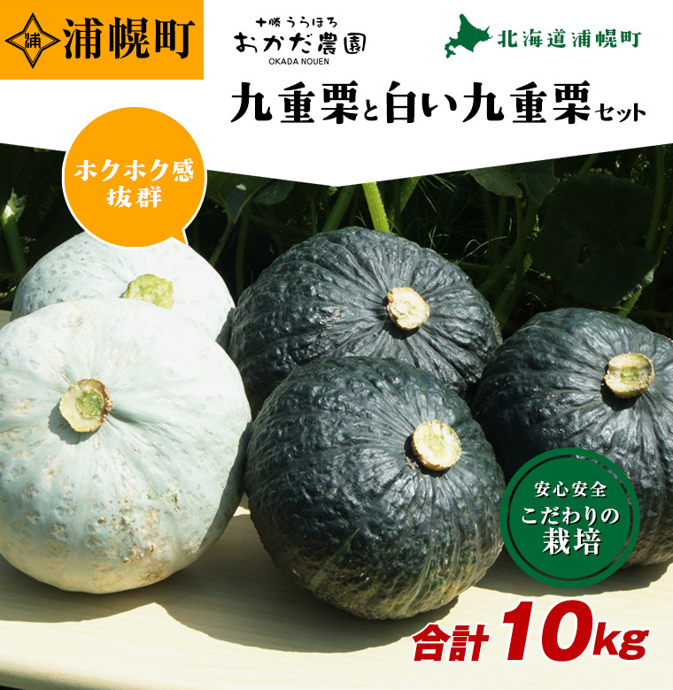 
            かぼちゃ合計10kg（九重栗2～3玉、白い九重栗2玉程度）おかだ農園《9月中旬-11月上旬より順次出荷》
          