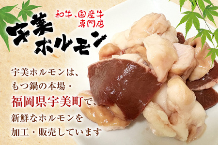 もつ鍋 ホルモン専門店 国産牛 もつ鍋セット 醤油味 12人前 [宇美ホルモン 福岡県 宇美町 um40azp100000] モツ鍋 モツ鍋セット 冷凍  もつ モツ