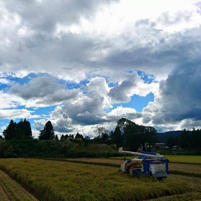 ふるさと納税 十日町市 令和7年産 ゆうだい21 5kg |  | 03