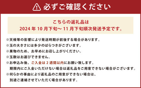 福岡県産ブランド柿・秋王 約3kg （8-12玉） 柿 カキ かき 果物 くだもの フルーツ 冷蔵 国産 岡垣町 【2024年10月下旬～11月下旬発送予定】