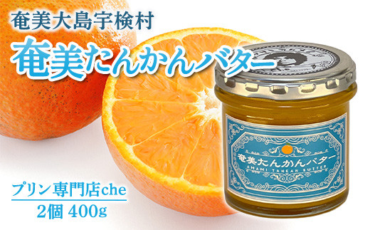 奄美 たんかんバター（2個 240g）たんかん パン スプレッド 奄美大島 宇検村 鹿児島 国産バター使用（プリン専門店che)