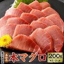 【ふるさと納税】 鹿児島県産本マグロ（赤身） 200g 約2~3人前 本まぐろ 赤身 刺身 本鮪 お刺身 柵 ブロック 冷凍 海鮮 養殖 新鮮 マグロ丼 海鮮丼の具 漬け丼 鹿児島 九州 薩摩川内市 国産 九州産 鹿児島産