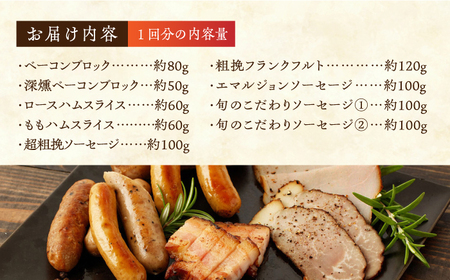 【12回定期便】燻製職人が手づくり地元素材のベーコンソーセージ豪華9点セット 【燻製工房 縁】 スモーク ベーコン ハム ソーセージ フランクフルト 熊本県 特産品 燻製 [ZBF065]