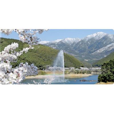 ふるさと納税 水上村 【球磨焼酎】水神の杜〈みずかみのもり〉 |  | 02