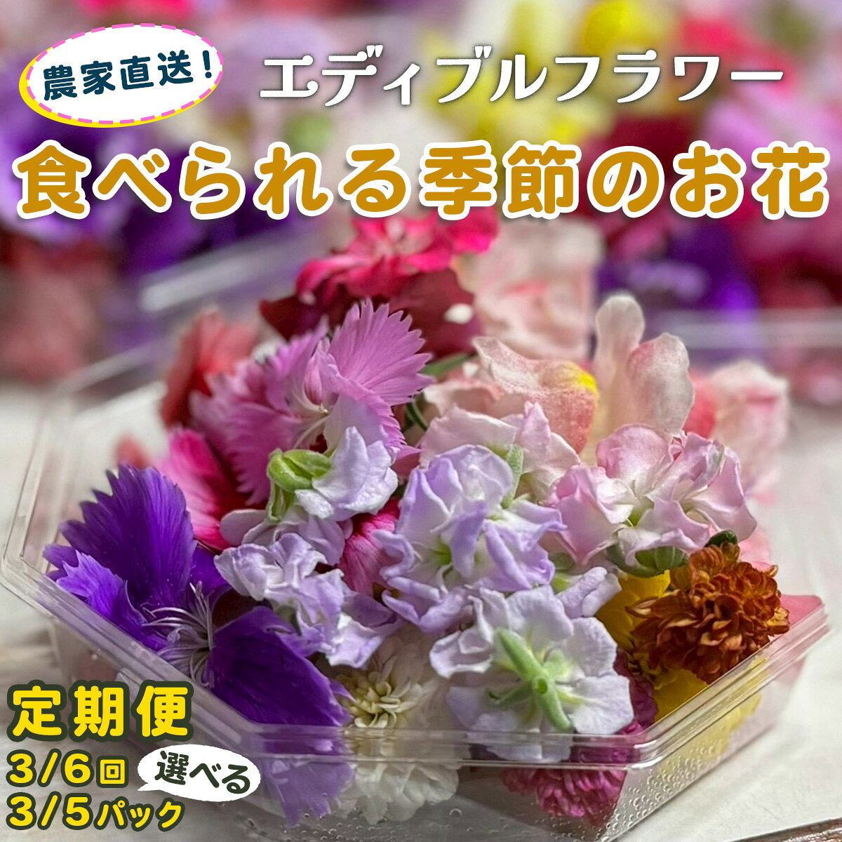 【ふるさと納税】[定期便《選べる回数：3回／6回》] 農家直送！加藤さんちのエディブルフラワー《選べるパック数 (1回あたり)：3パック／5パック》(1パックあたり季節のお花15輪から30輪)｜食用 花 お花 野菜 トッピング 付け合わせ [0768-0772]