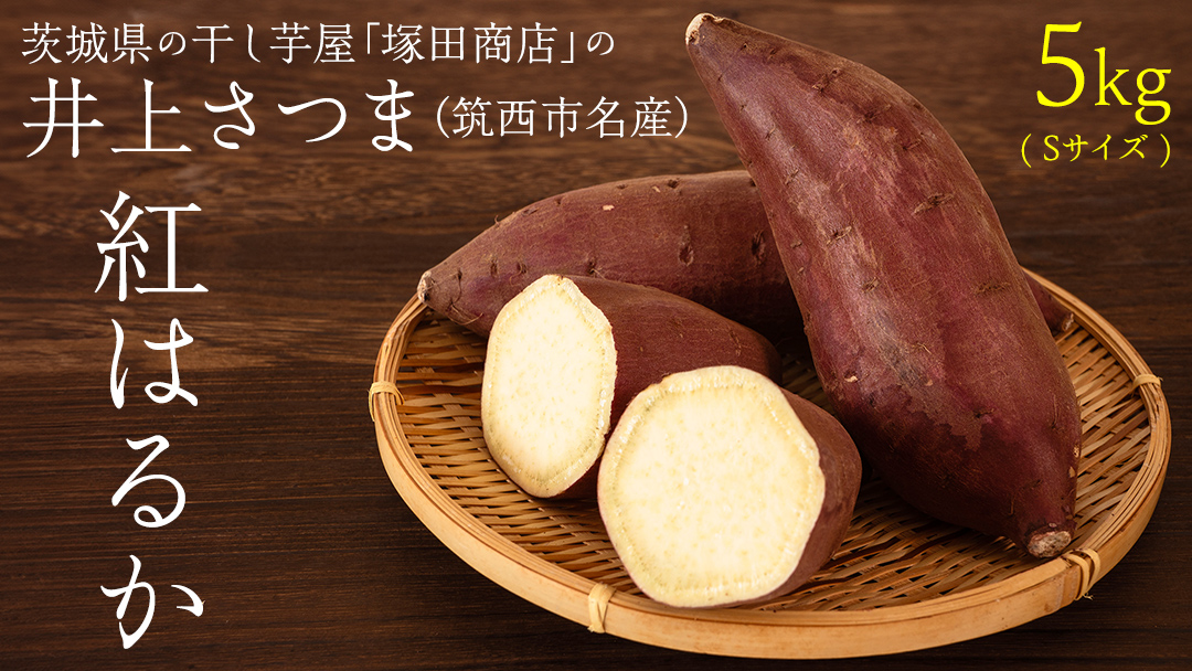 【 塚田商店 】 井上さつま 「 紅はるか 」 5kg ( Sサイズ ) 新物 ブランド芋 茨城県産 筑西市産 さつまいも サツマイモ いも 芋 イモ マツコの知らない世界 [BD035ci]