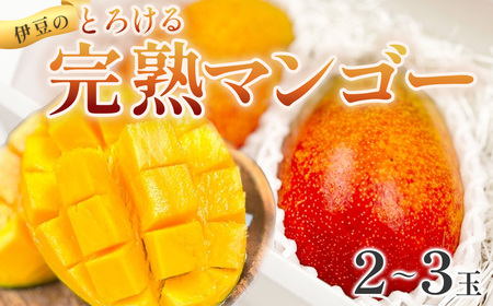 とろけるあまーいマンゴー（アーウィン）2～3個　7月～8月発送 マンゴー マンゴー マンゴー マンゴー マンゴー