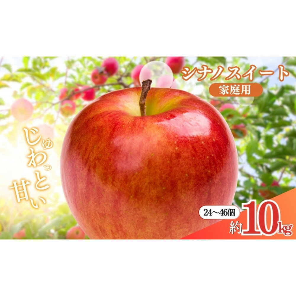 【ふるさと納税】長野県 長野市産 シナノスイート 家庭用 10kg(24～46玉)サイズふぞろい【2026年10月下旬頃発送予定】(矢島農園) | 果物 フルーツ デザート 食後 おやつ 長野県産 信州 甘い 交配品種 酸味が少ない りんご