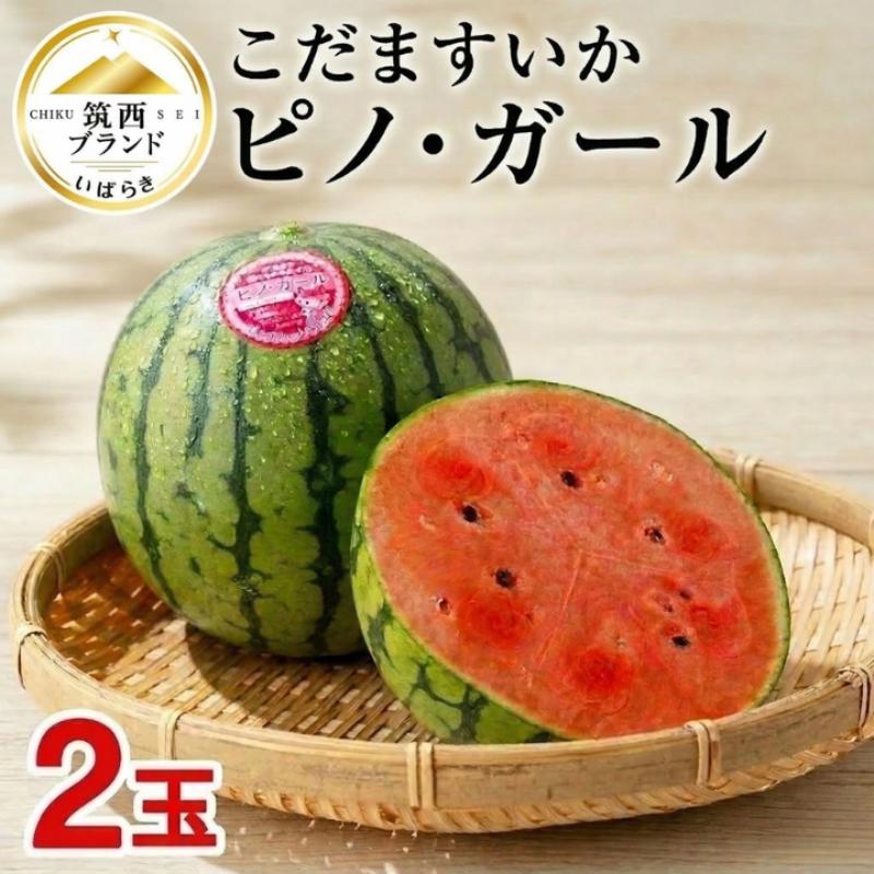 【ふるさと納税】こだますいか 「 ピノ・ガール 」 選べる 1玉 2玉 2026年産 先行予約 訳あり 筑西ブランド こだまスイカ 小玉スイカ すいか スイカ フルーツ 果物
