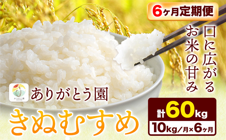 
181. 【6ヶ月定期便】令和5年産 米 岡山県産 きぬむすめ 白米 選べる 10kg ありがとう園《お申込み月の翌月から出荷開始》岡山県 矢掛町 米 コメ 一等米 定期便 定期
