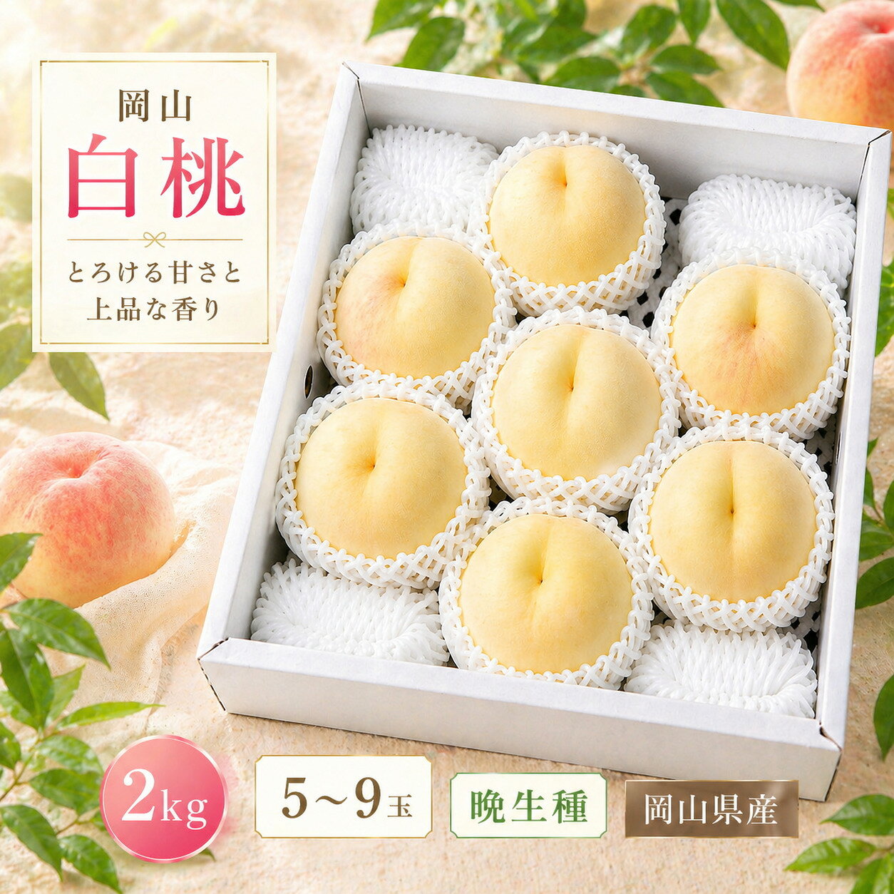 【ふるさと納税】 桃【2026年先行予約】 岡山白桃 晩生種 約2kg（5~9玉）｜ 岡山県産 ご家庭用 もも 白桃 果物 清水白桃 もも モモ 完熟 きびもも園 真庭市 果物 くだもの フルーツ 贈答品 ギフト お取り寄せ 期間限定 数量限定 送料無料 産地直送 人気 岡山 【kbmm003】