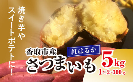 香取市産 さつまいも 紅はるか 約5kg 1本2~300g 焼き芋やスイートポテトにどうぞ  / 芋 サツマイモ さつま芋 べにはるか ベニハルカ 焼き芋 焼芋 焼いも お芋 おいも いも 生芋 ITO001_X1