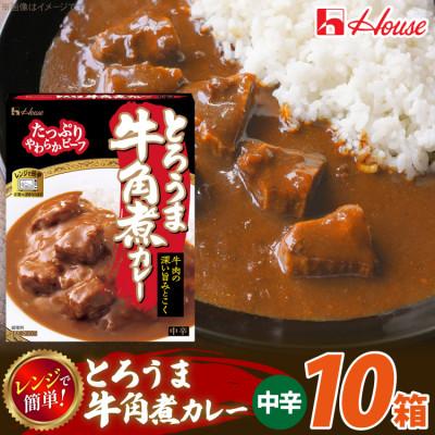 ふるさと納税 江南市 ハウス とろうま牛角煮カレー 中辛 200g ×10個 レトルトカレー レンジ調理対応
