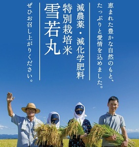 SD0198　令和7年産【精米】つや姫マイスターが作った 特別栽培米  雪若丸　 10kg(5kg×2袋)　［減農薬・減化学肥料］ MA