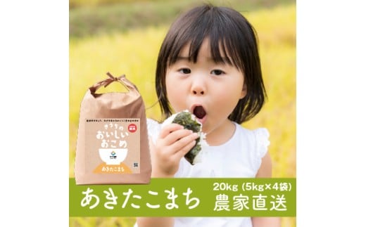 新米【令和7年産】 無洗米 あきたこまち 20kg (5kg×4) 稲敷市産 農家直送｜米 こめ コメ ごはん ご飯 [1630]