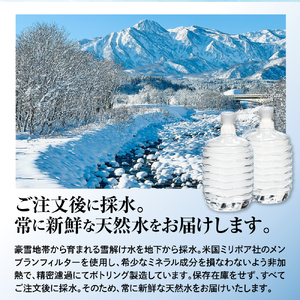 妙高山麓の天然水8L （2本×12回）計24本 ＋床置式ウォーターサーバー付き